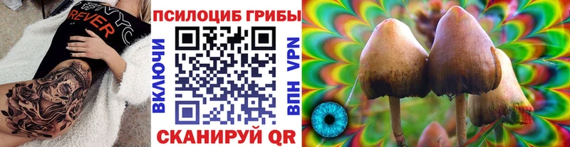 кракен зеркало  Котельниково  Галлюциногенные грибы Psilocybe 